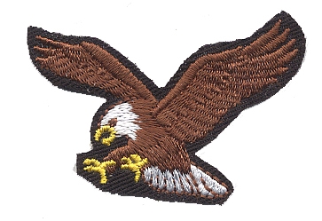 Eagle Head Facing Left Iron on Patch by Ivamis Patches